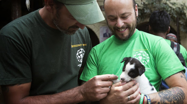 Foto: AP/ Humane Society International