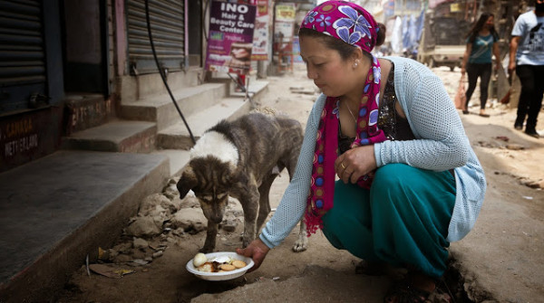 Foto: AP/ Humane Society International