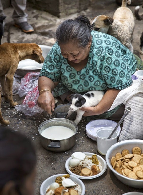 Foto: AP/ Humane Society International