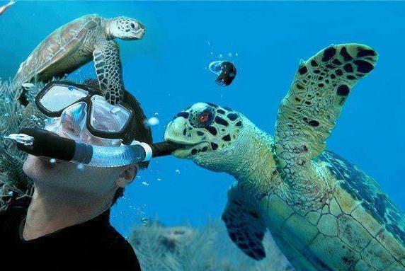 9-espectaculares-selfies-con-animales_7