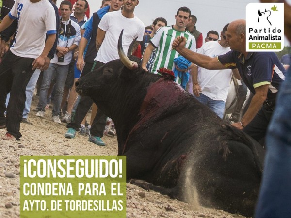 Condena-Ayuntamiento-de-Tordesillas-1024x768